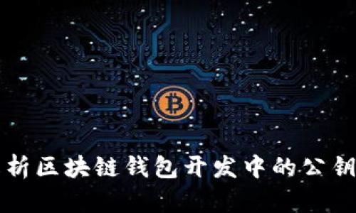 深入解析区块链钱包开发中的公钥和私钥