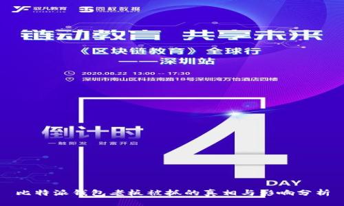 比特派钱包老板被抓的真相与影响分析