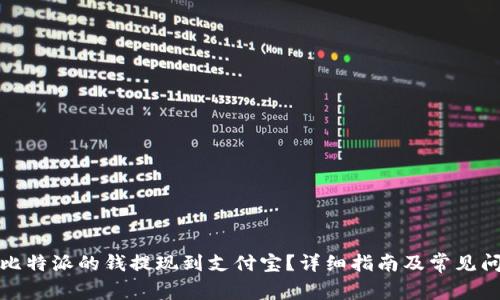 如何将比特派的钱提现到支付宝？详细指南及常见问题解答