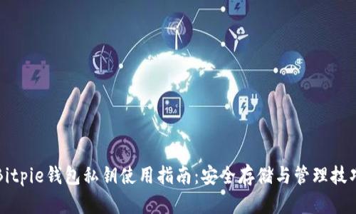 Bitpie钱包私钥使用指南：安全存储与管理技巧