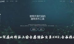 如何在比特派上安全存储
