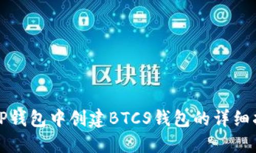 在TP钱包中创建BTCS钱包的详细指南